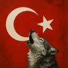 rojinkucukelci