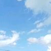 user8491350091179