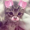 .jubis_1
