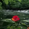 aziz.zahraoui52