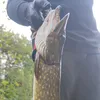 allround_angler_et