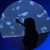 sabiha_286