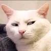 kechuyenreviewxam