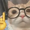 xx.meow.xx18