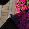 d_ooh7