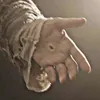 gringo_fx244