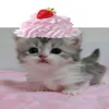 rozalka_pralka123