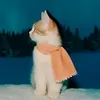 iswmllq