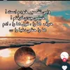 elif.su2891