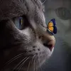 qeti.qeti44