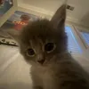 marr.iiaaww