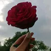 kgbkfaol