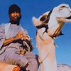 mohammed.sead88