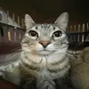 shlepa_60
