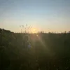 di_2930