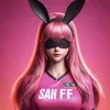 01_sahff