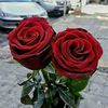 user37927741751726
