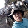 ramonpy276