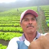 francisco.canuto39