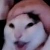 christiantapia05