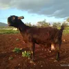 user8118162920188