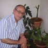 user90328363712943