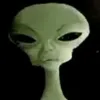 zarvebravynzandra