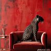 hanan.abdullah466