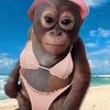 jody_648