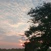 rijalam089