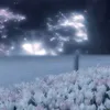 nobodywantsmeh