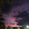 sofi_vi6