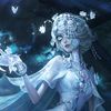 akirxn_idv