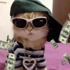 hellokittyyy102