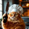OrangeCat!?Boom!