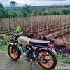 penceng6103