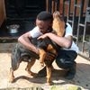 pets.all.round