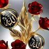 md.munir.hassan6