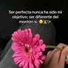user7176161401070
