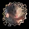 .wall_rat
