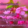 aung.lay5105