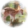 pavan.dhillon2