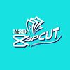 msd0171_