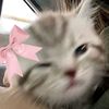 aisyah_l.j