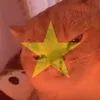 bebap2k_dzotri