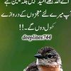 mzamin.khan2