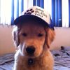 usernotfound000357