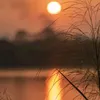diepyeutoquoc