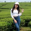 desy_sy1096