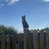 pietrotraynornew.account